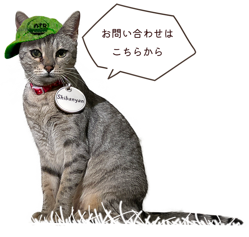 マスコットキャラクターのシバニャン